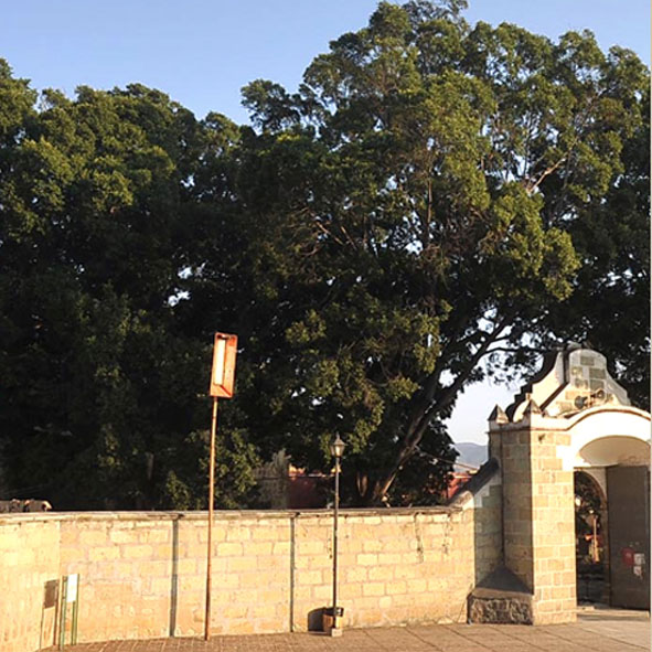 Jardín Sócrates